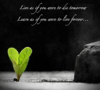 love and life quotes
