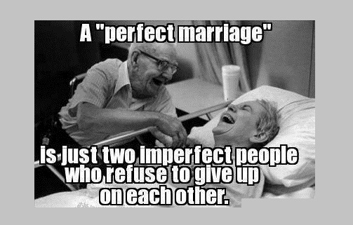 perfect wedding quotes