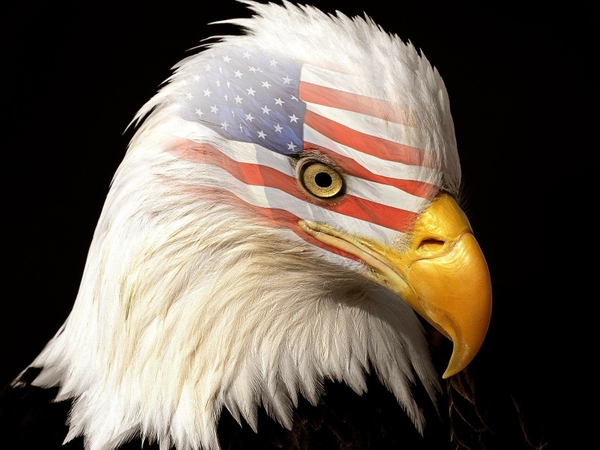 classic eagles USA 